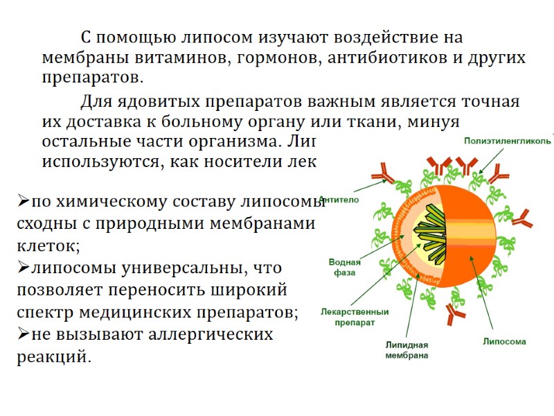 С помощью липосом изучают воздействие на мембраны витаминов, гормонов, антибиотиков и других препаратов. 